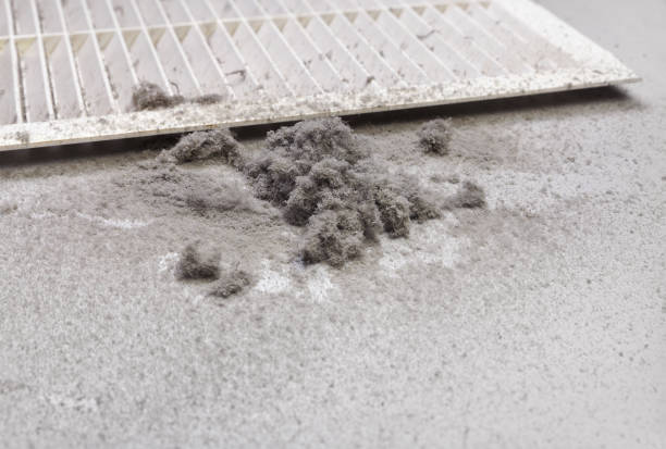 Best Affordable Duct Cleaning Services  in Nsfield Center, MA